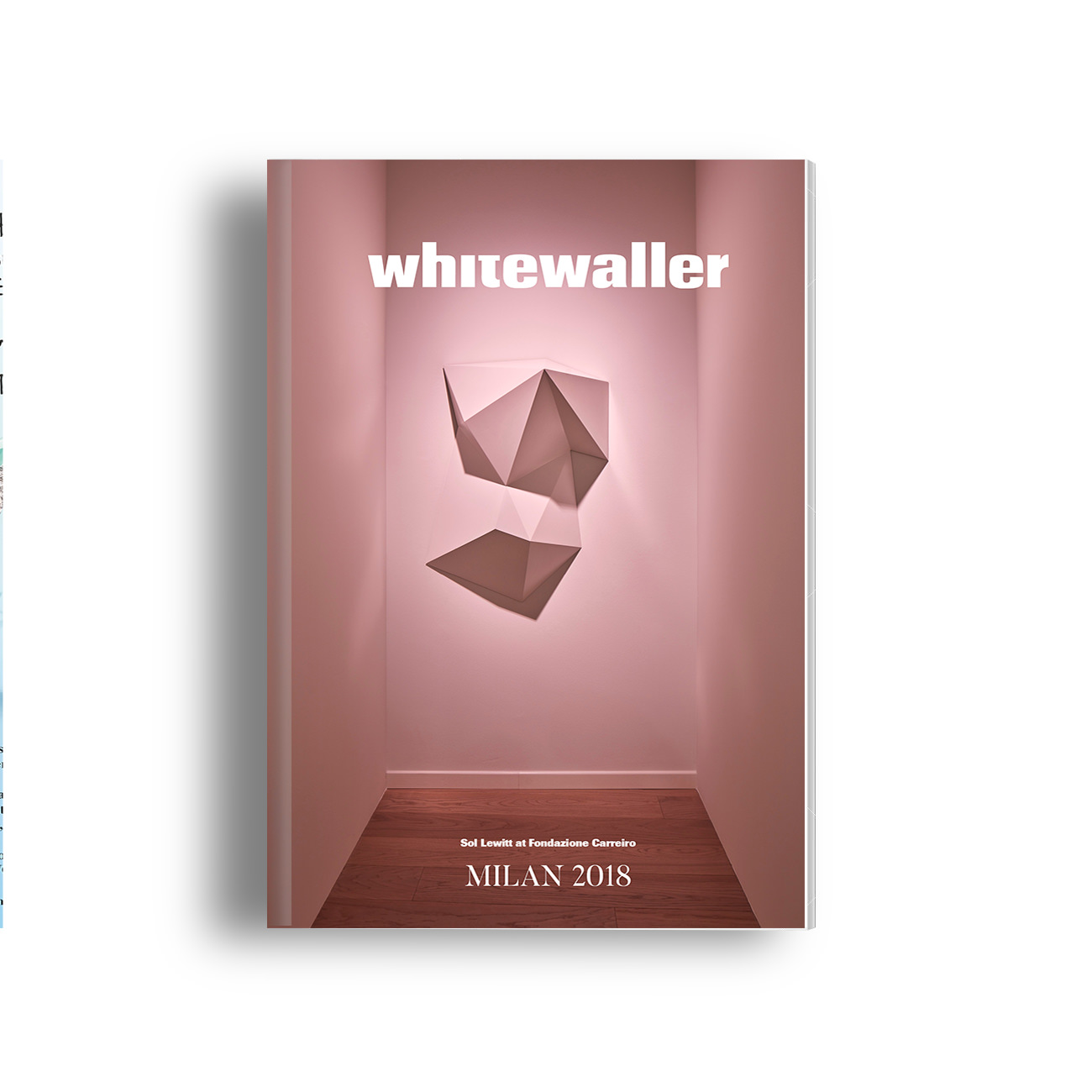 Custom cover with Fondazione Carreiro. Whitewaller Milan 2018