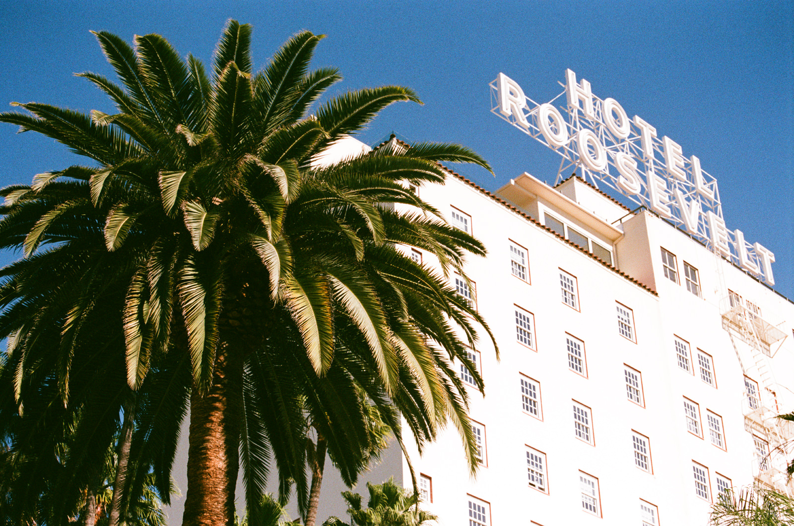 The Hotel Roosevelt