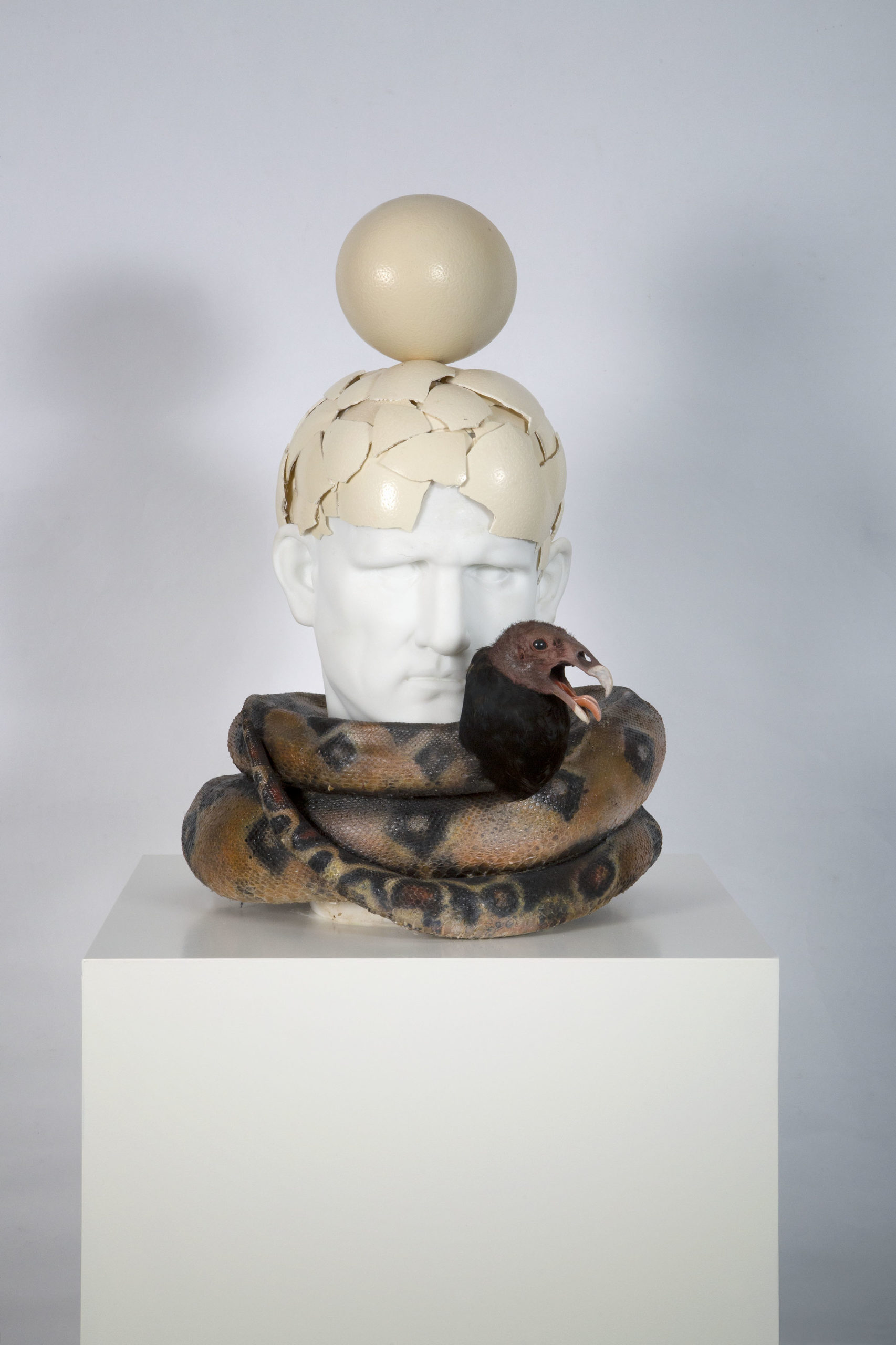 “Temptation” (2019), Koen Vanmechelen; marble, taxidermy snake, taxidermy turkey vulture, eggshells. Courtesy of Fondation Linda & Guy Pieters.