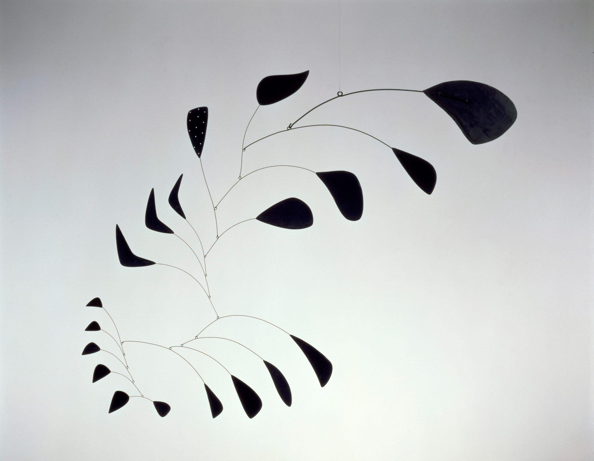 Alexander Calder/Raoul Marks, "Vertical Foliage"