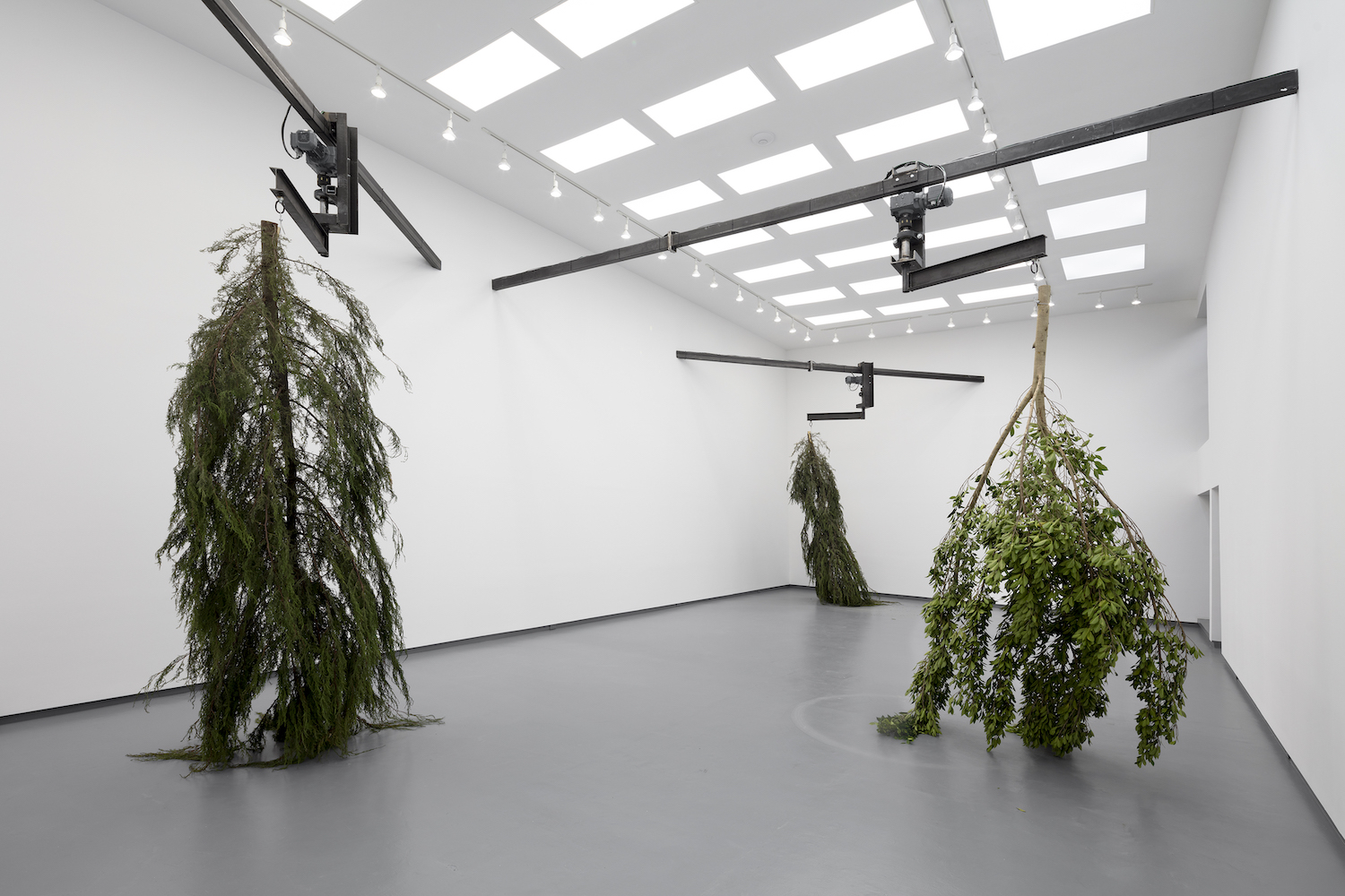 Installation view of Michael Sailstorfer's "Clearing"