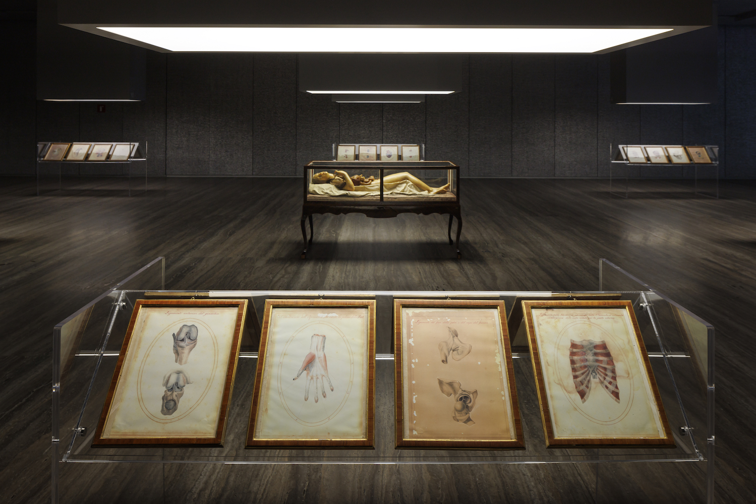 Installation view of “Cere anatomiche: La Specola di Firenze | David Cronenberg”
