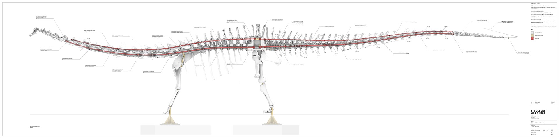 Structure Workshop, “787 - DIPLODOCUS CARNEGII FOR THE NATURAL HISTORY MUSEUM, Architecture wall-based, Inkjet print on aluminum board (with post-tensioned model in plywood and steel), 60 x 2400 cm, courtesy Structure Workshop and the Royal Academy of Arts.