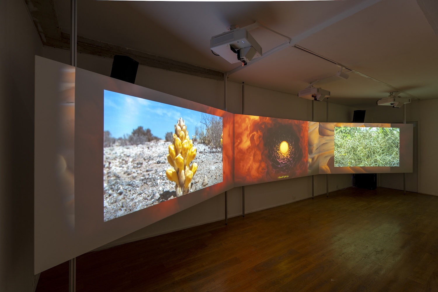 Installation view of 