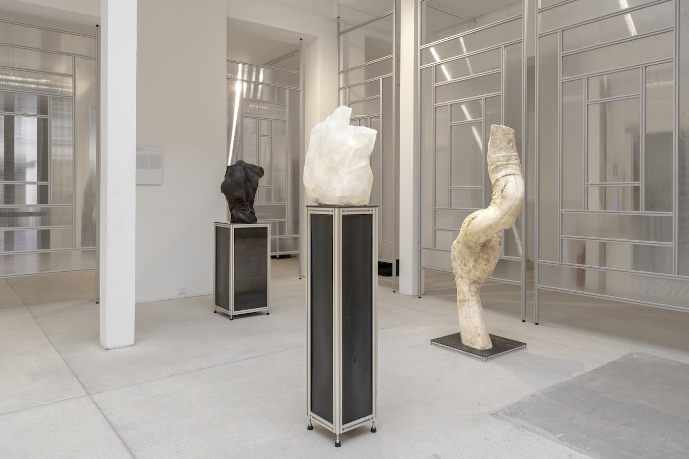 Installation view of 