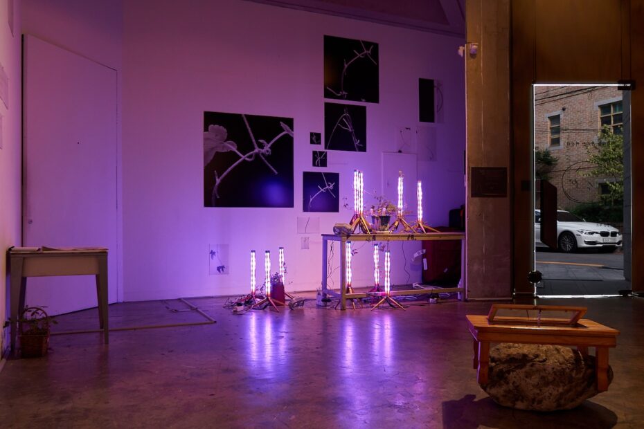 Installation View "Sisters, We Grow: Seoul – San Francisco Exchange Exhibition," Alternative Space LOOP, 2022