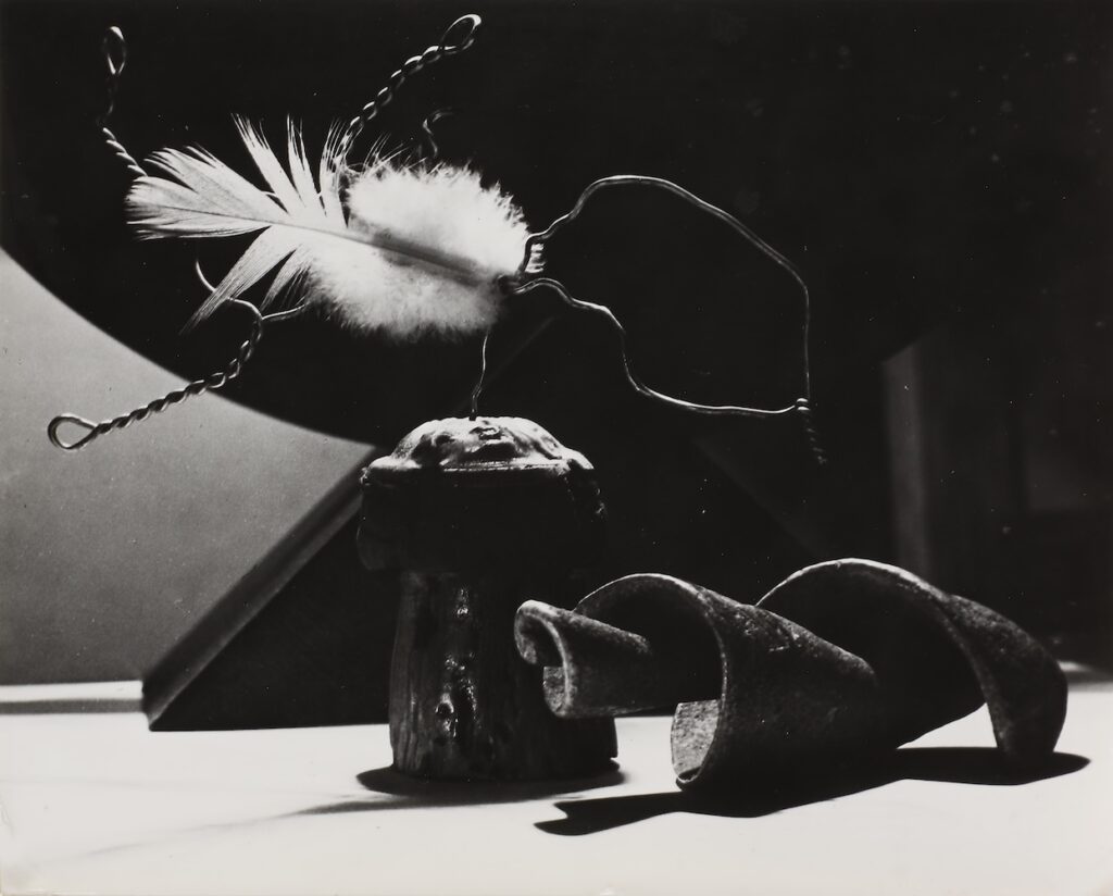 Man Ray, "L‘Origine des espèces," 1935 -