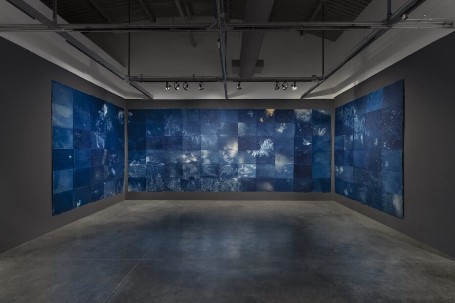 Installation view of Andrea Chung's “Between Too Late and Too Early” at MOCA North Miami