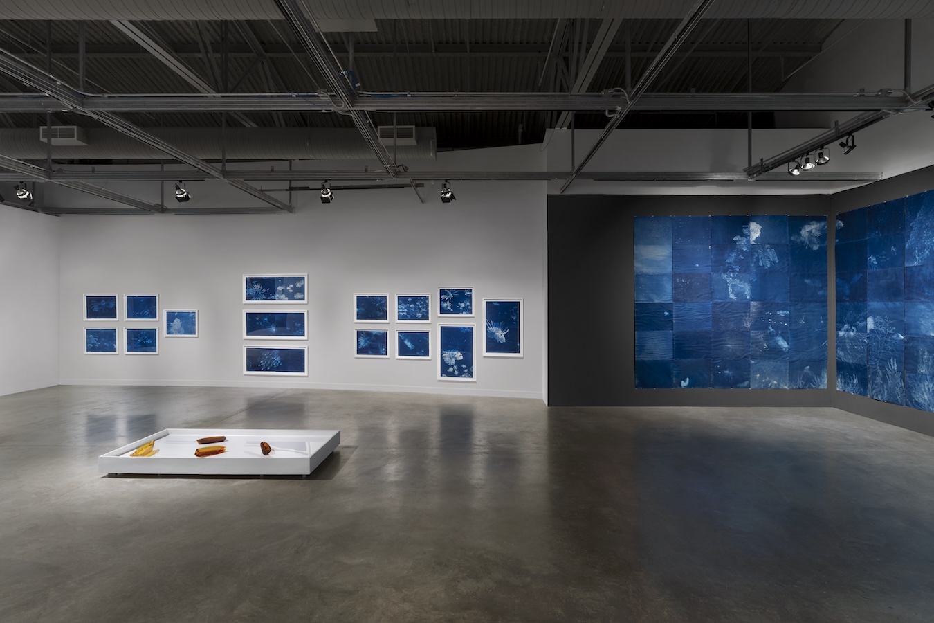 Installation view of Andrea Chung's “Between Too Late and Too Early” at MOCA North Miami