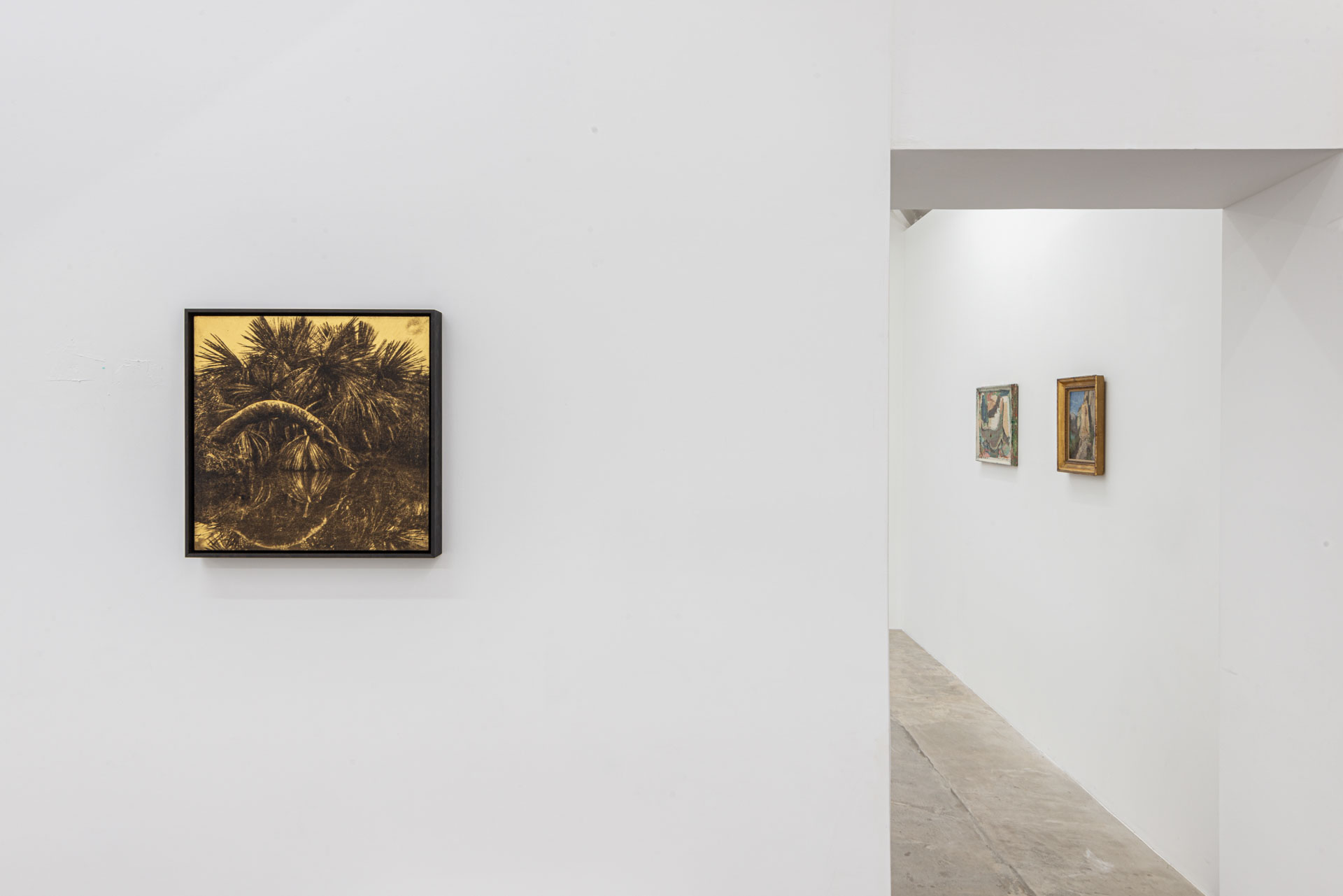 Installation view of 