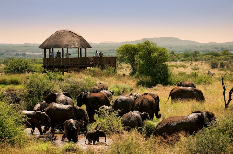 Morukuru Family Madikwe - Private Hide