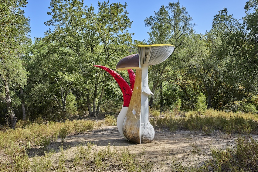 Claudia Comte Domaine du Muy
