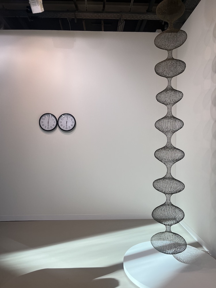 Art Basel Dr. Jacqueline Nowikovsky