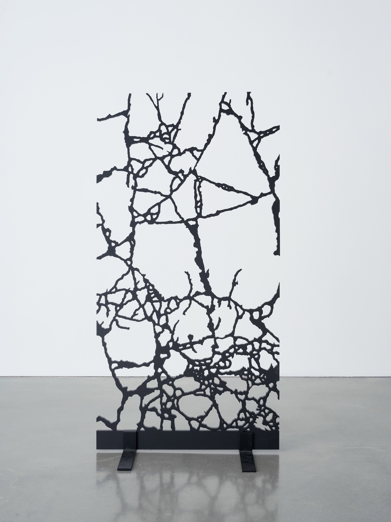 Kader Attia