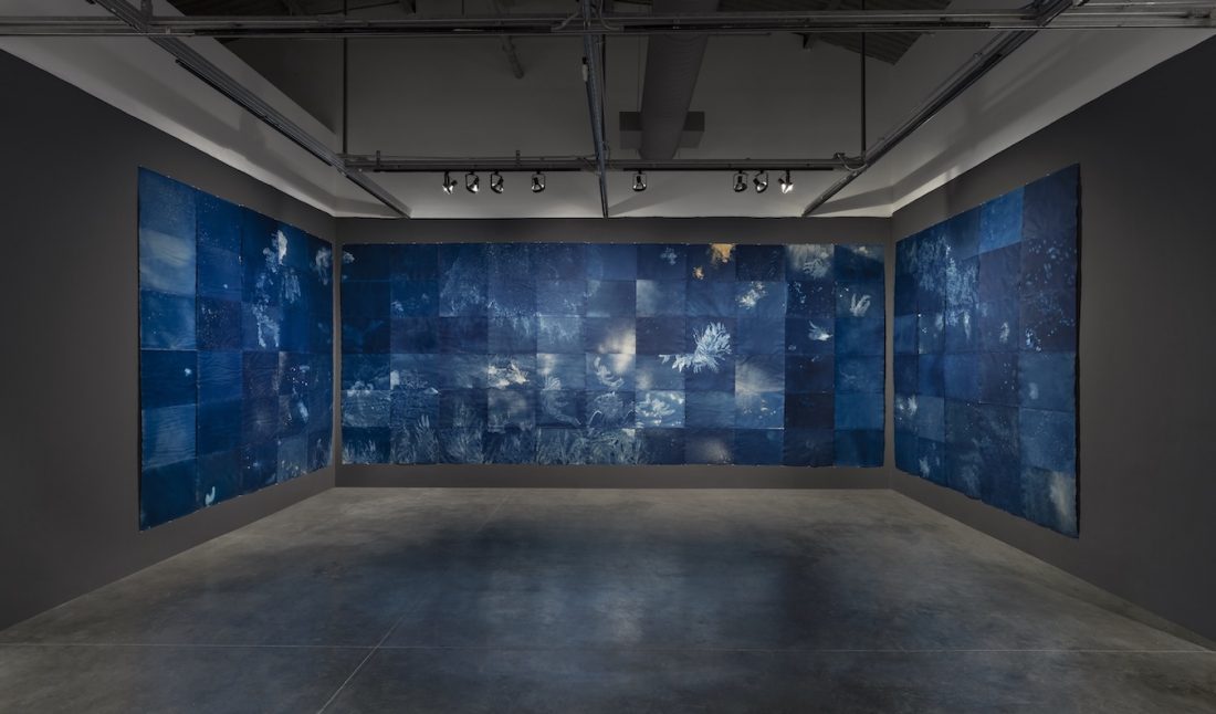 Installation view of Andrea Chung's “Between Too Late and Too Early” at MOCA North Miami