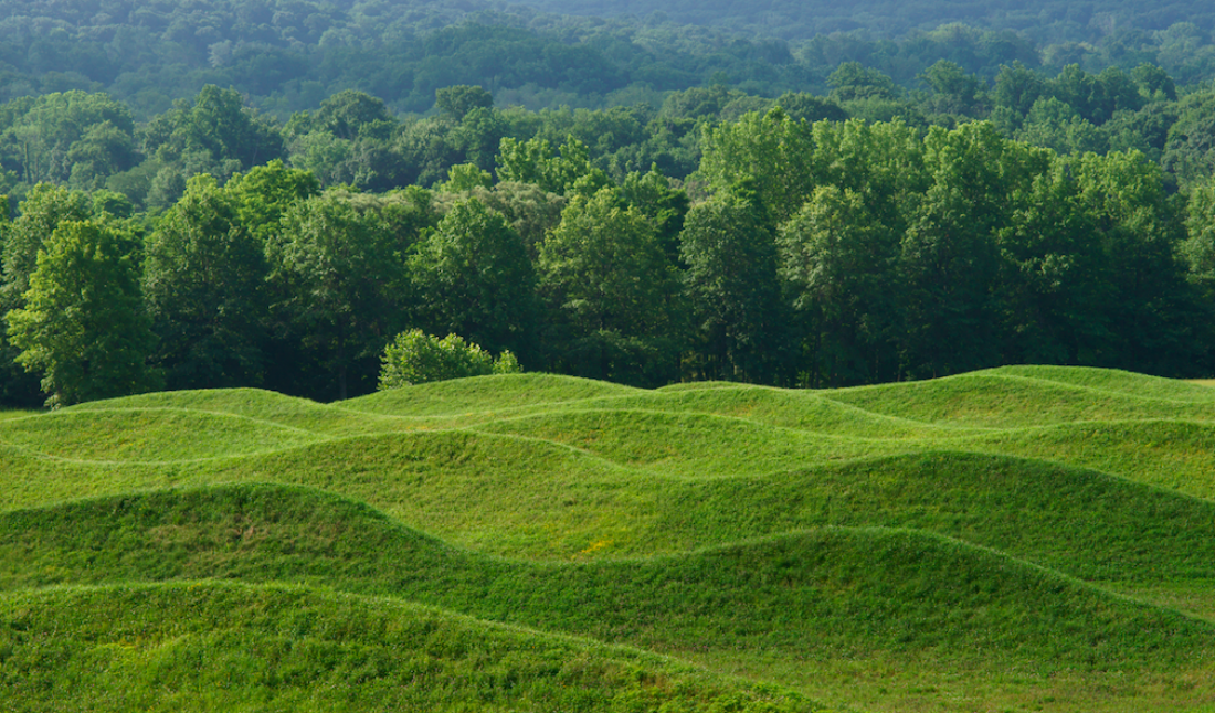 Maya Lin