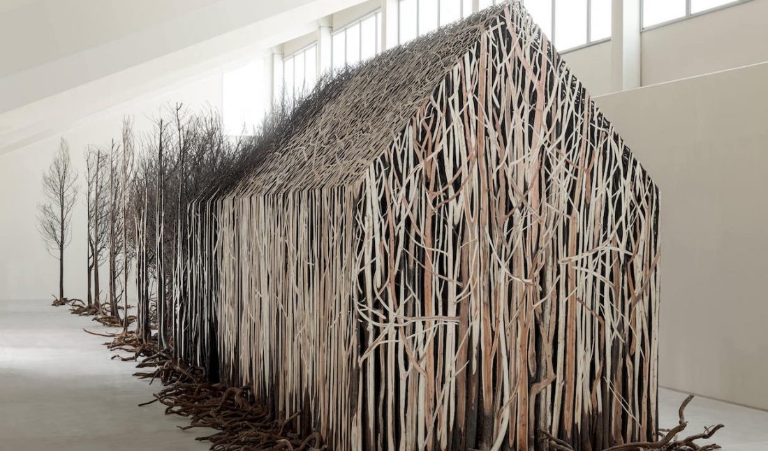 Doris Salcedo, "Uprooted"